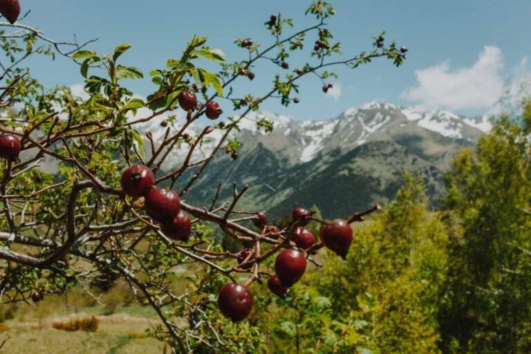 Patagonia Chilena — Puerto Natales é uma cidade localizada na Patagônia chilena, conhecida por ser a porta de