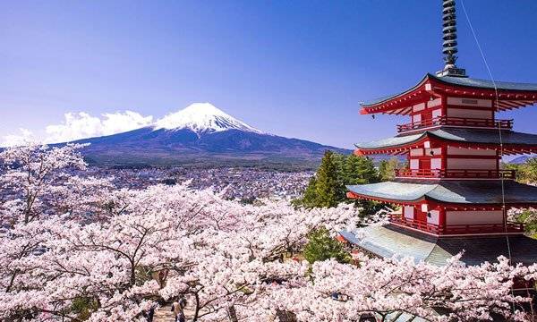 Pacote para Japão