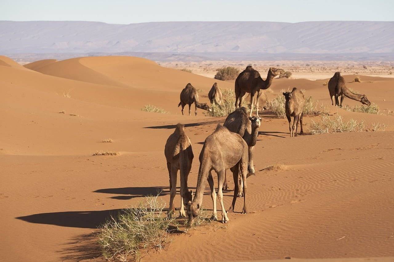 Essas são as coisas que ninguém fala sobre Marrocos e que vai te impressionar!